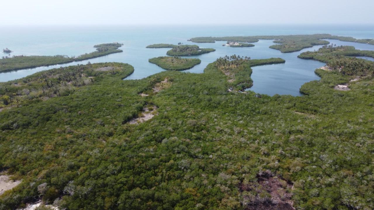 Santa Lova Eco-Hostel Isla Tintipan Tintipan Island Exteriér fotografie