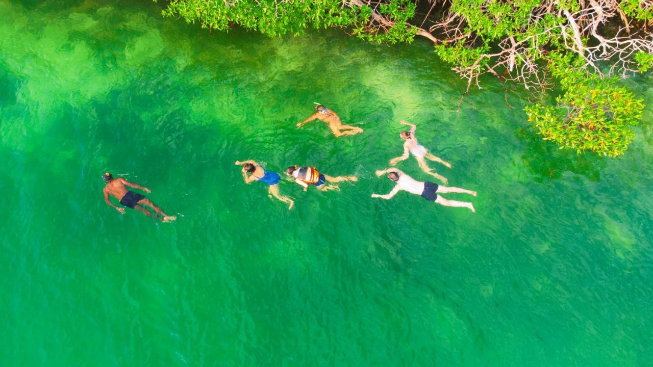 Santa Lova Eco-Hostel Isla Tintipan Tintipan Island Exteriér fotografie