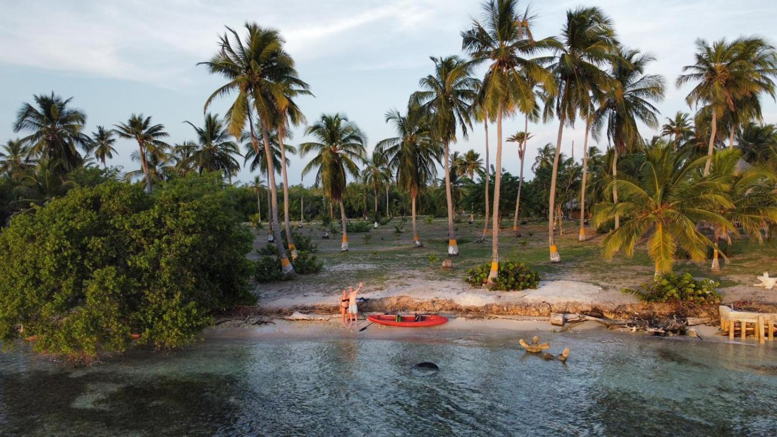 Santa Lova Eco-Hostel Isla Tintipan Tintipan Island Exteriér fotografie