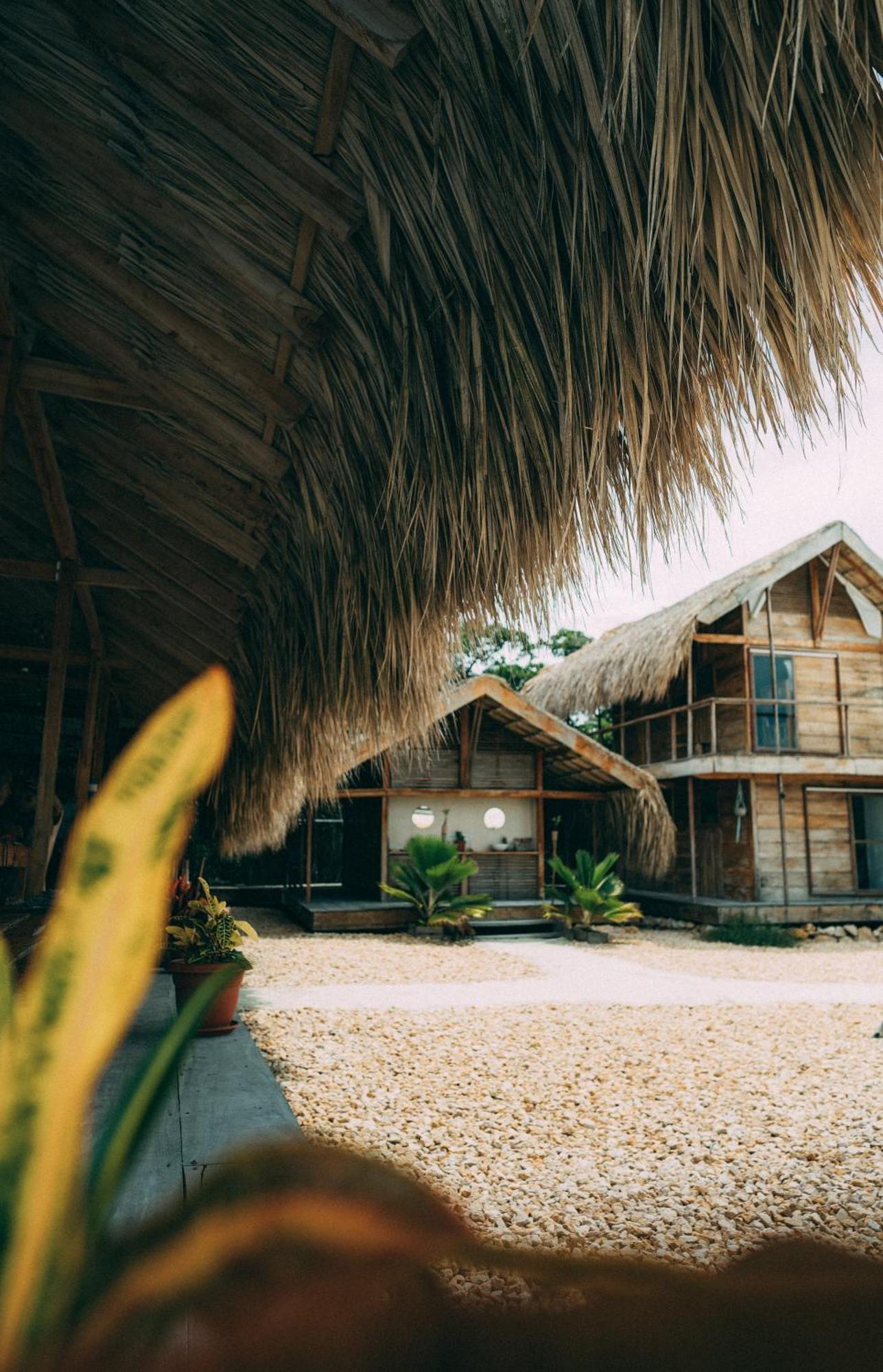 Santa Lova Eco-Hostel Isla Tintipan Tintipan Island Exteriér fotografie