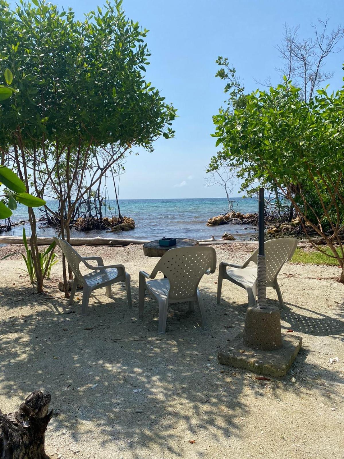 Santa Lova Eco-Hostel Isla Tintipan Tintipan Island Exteriér fotografie