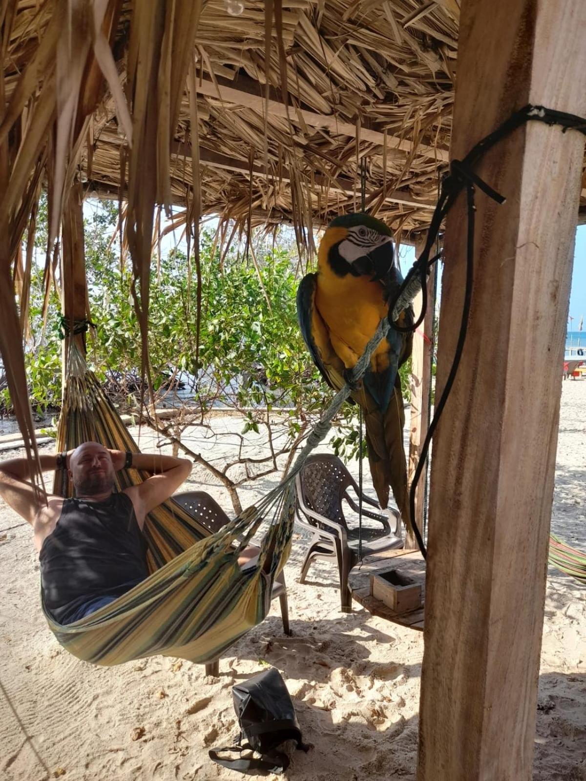 Santa Lova Eco-Hostel Isla Tintipan Tintipan Island Exteriér fotografie